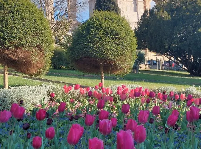 Pulabella Διαμέρισμα Πούλα